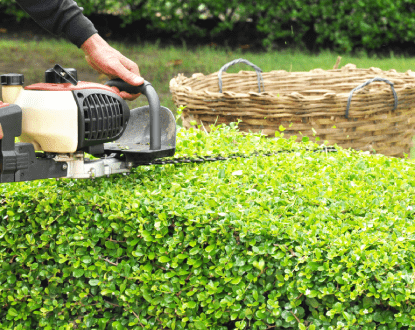 <p style="font-family: 'Poppins', sans-serif; font-weight: 700; font-size:24px;">HEDGE TRIMMING
</p>